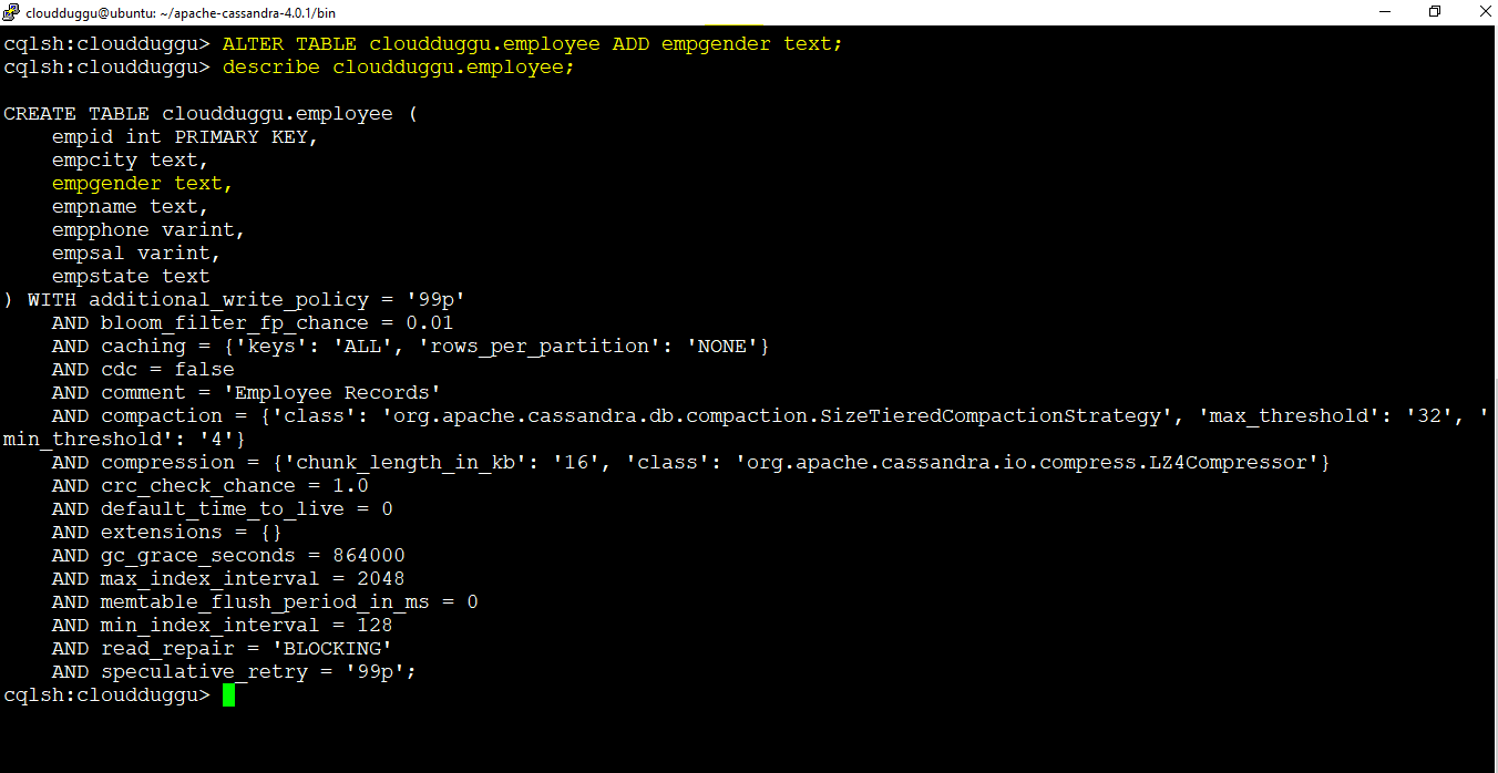 cassandra alter command add column cloudduggu