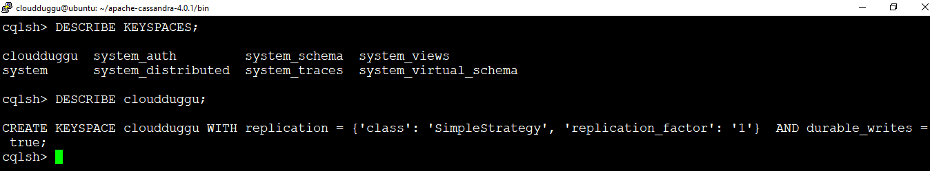 cassandra describe keyspace cloudduggu