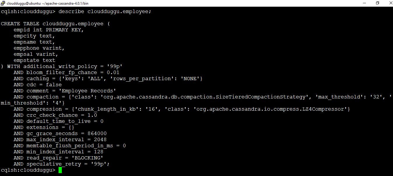 cassandra describe table cloudduggu