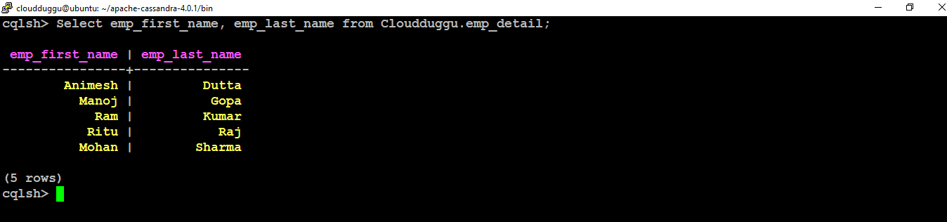 cassandra selected column output cloudduggu