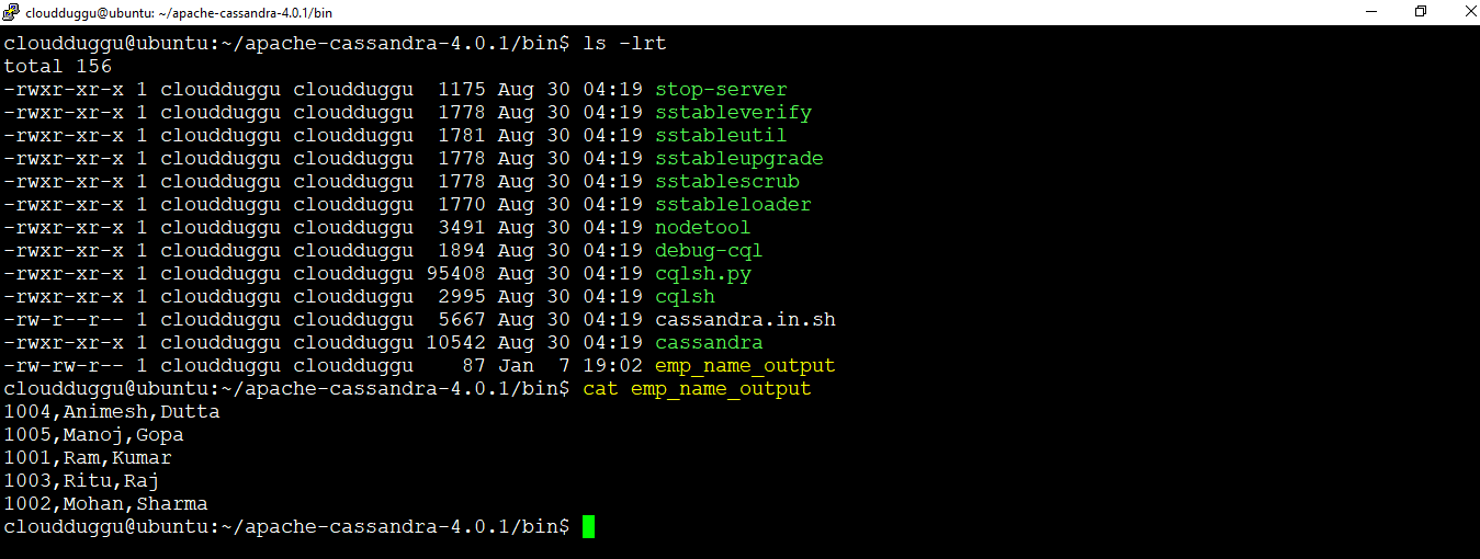 cassandra copy command output cloudduggu