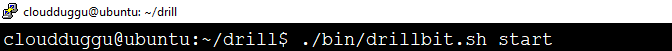 start drillbit command cloudduggu