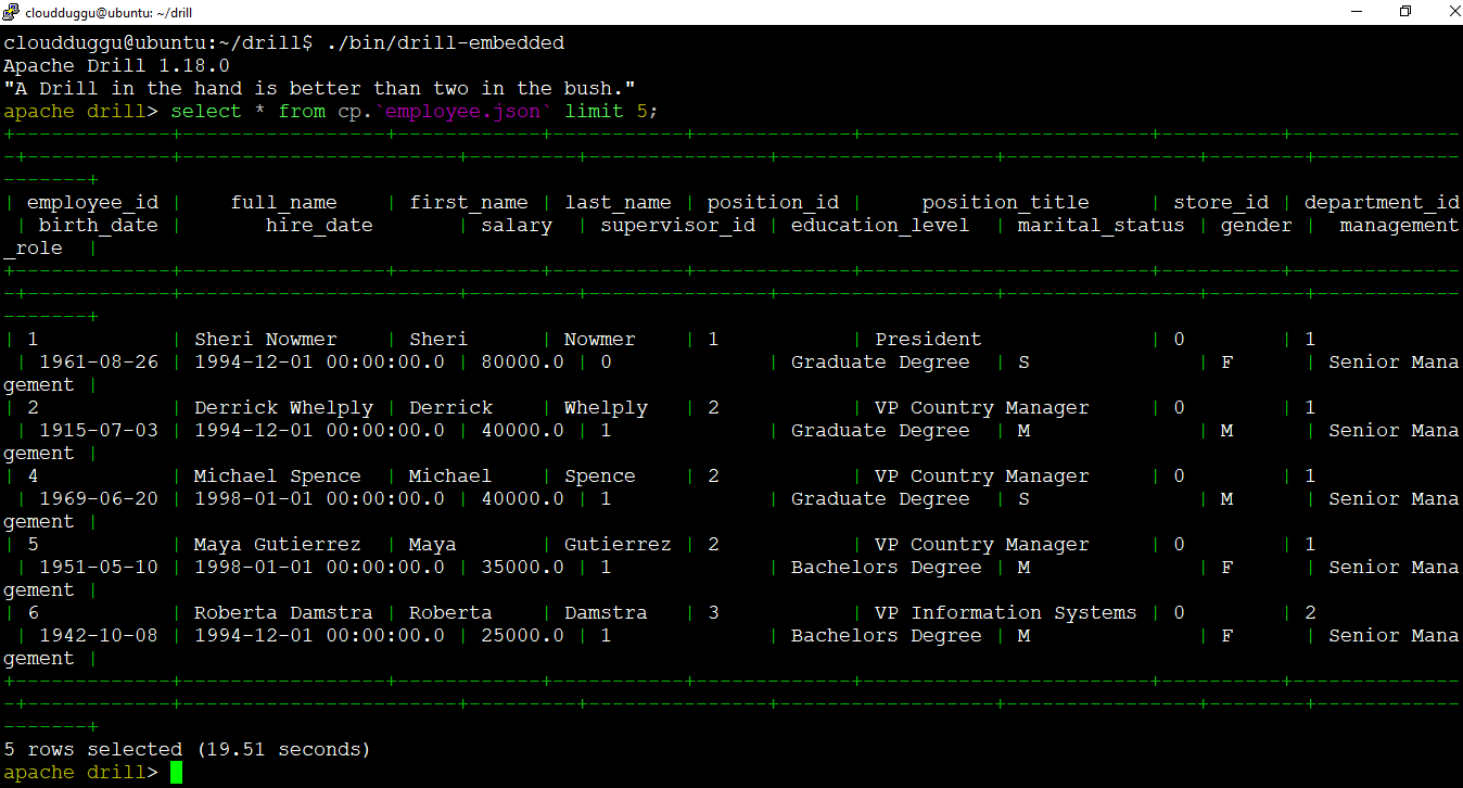 drill select query cloudduggu