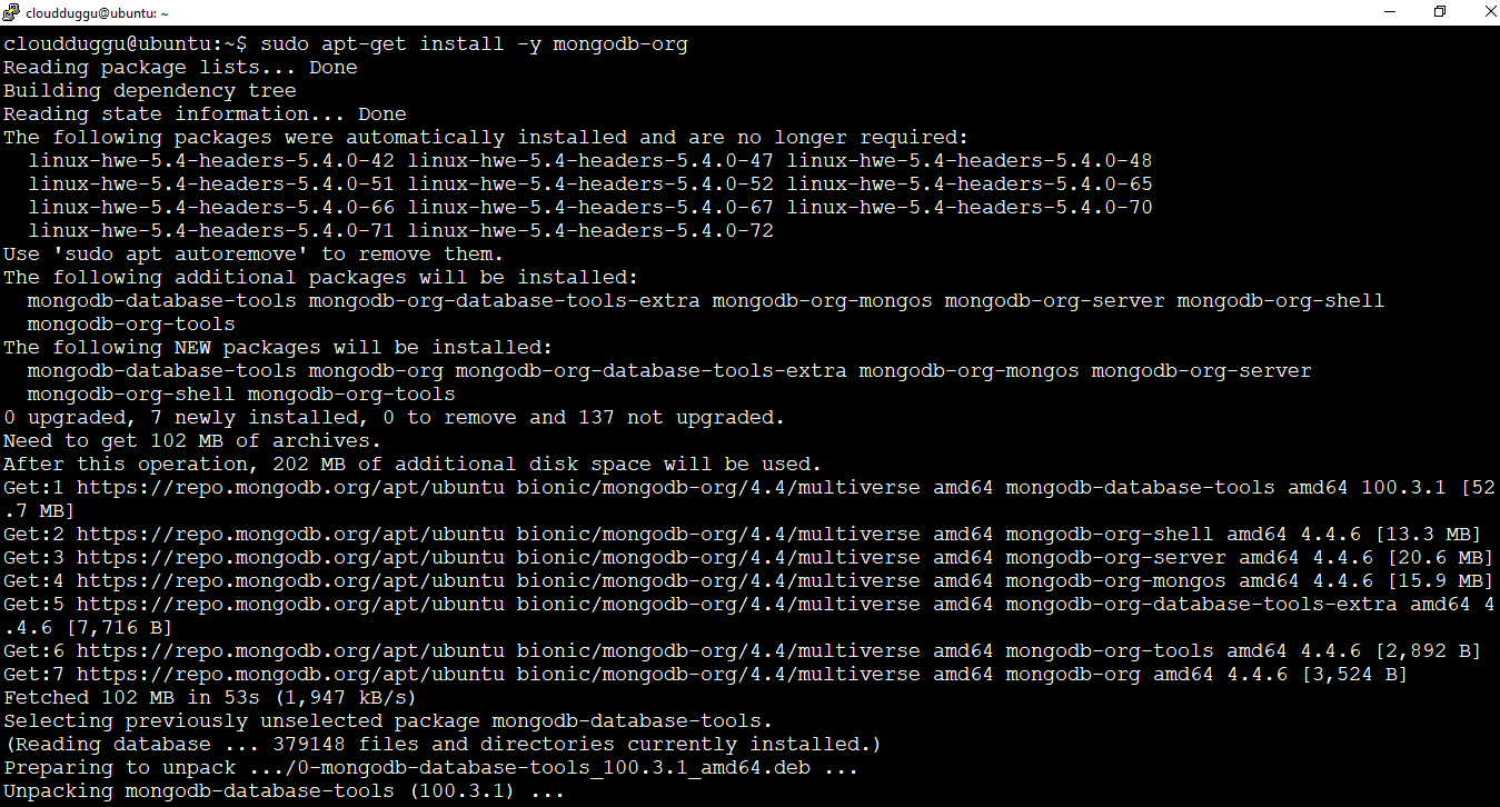 mongodb installation step1 output