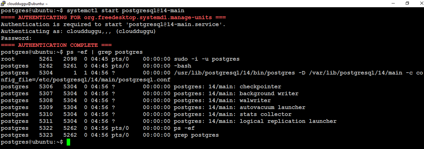 postgresql start database cluster