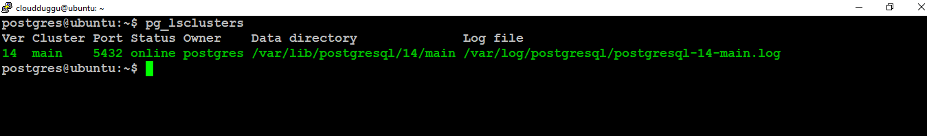 postgresql cluster detail