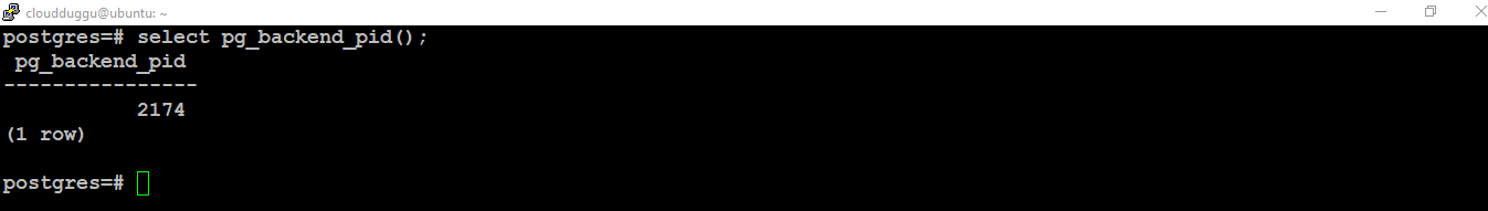 postgresql pg backend pid command