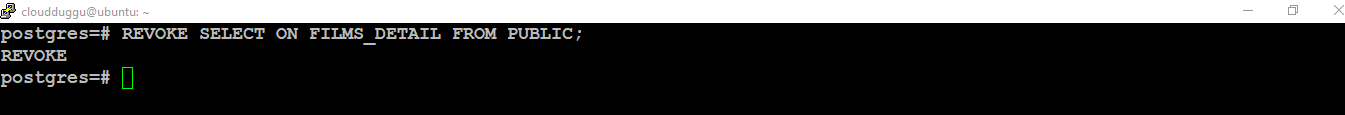 postgresql revoke select from public command
